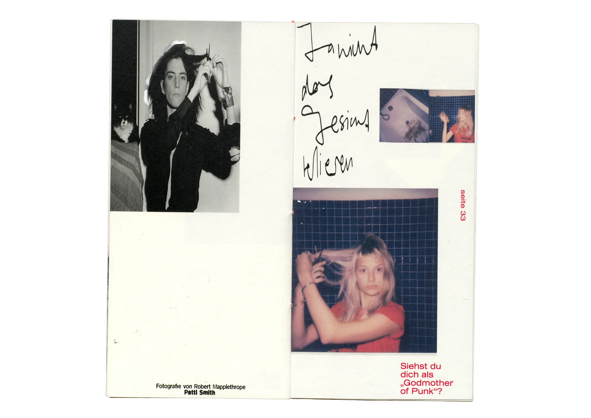 Patti Smith Project 16